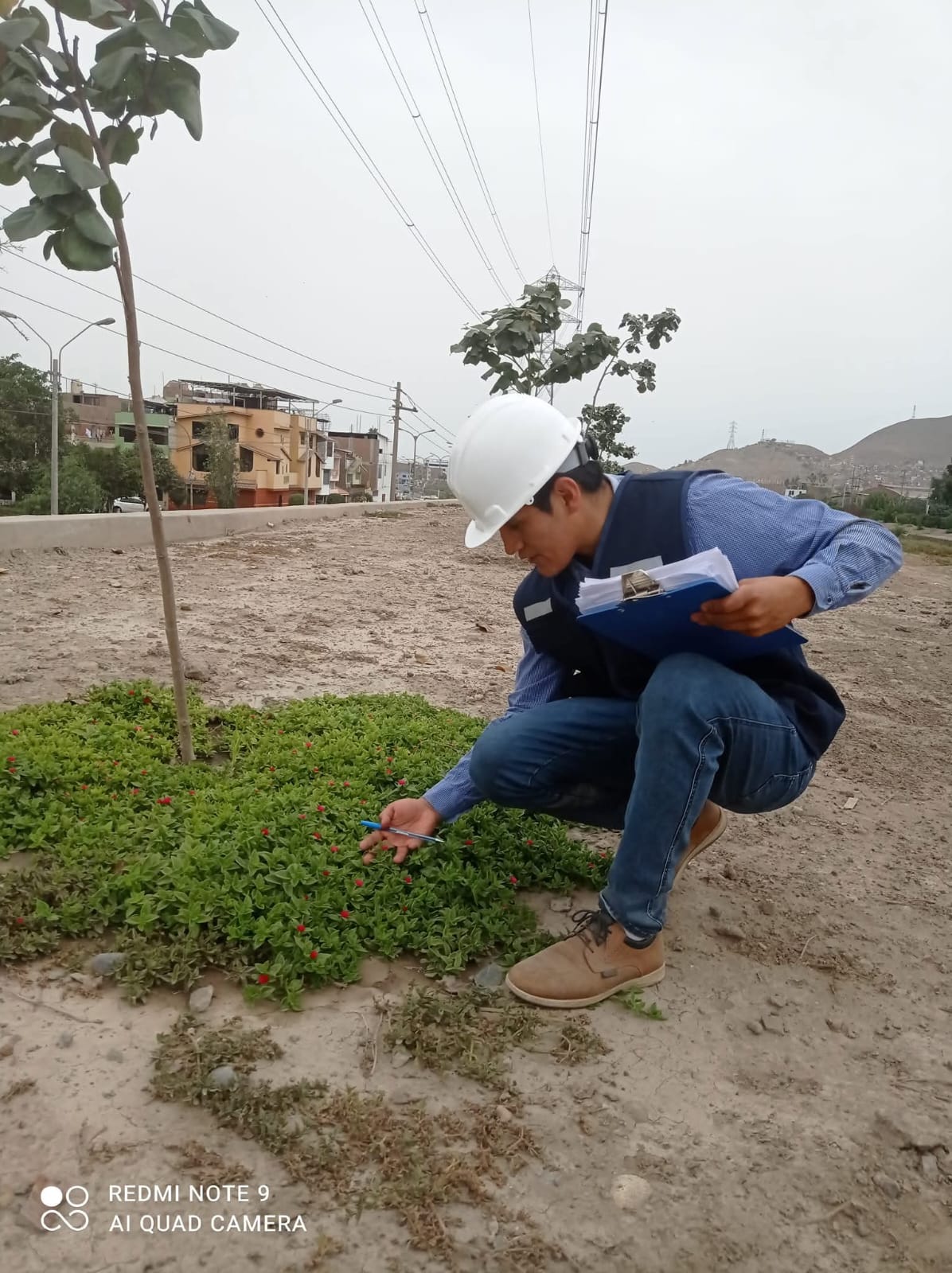 Gestión Ambiental IGA - Certificación Ambiental